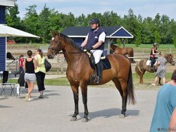 2013 Sommerturnering